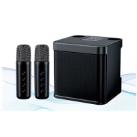 Wireless Microphone System Dual mic Karaoke with 3000 mah battery