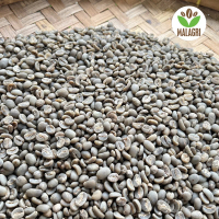 Green Bean Biji Kopi Mentah Arabica Gayo Grade 1
