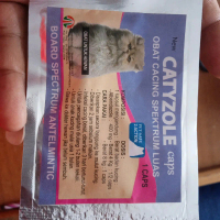 obat cacing CATYZOLE capsul