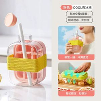 日本製冰盒 食品級矽膠 便攜水壺 製冰模具 吸管杯 家用冰格- 粉色小號【密封防漏✅含吸管綁帶】 均碼