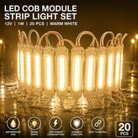 [20PCS] Lampu LED Modul / Lampu LED Tempel / Chip LED COB Module Strip Light Set Waterproof 12V 1W W