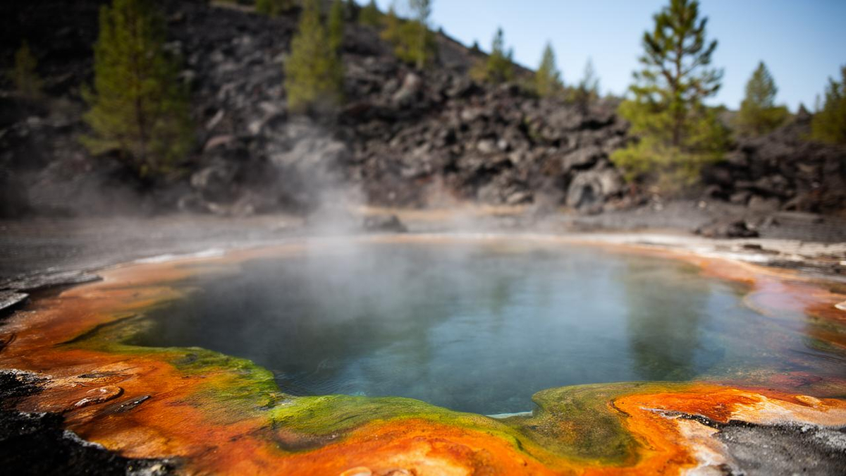 Newly Found 'Fire Amoeba' Survives Heat Once Thought Fatal for Complex Life