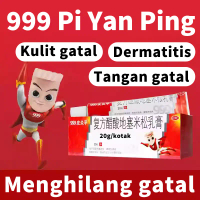 Original Salep 999 Pi Yan Ping 1 kotak 20 g Untuk Gatal untuk Meringankan Dermatitis Alergi dan Eksi