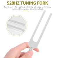 Nĩa điều chỉnh, Bộ chỉnh dây đàn 528C và 528HZ, với bộ vồ, để sửa chữa DNA, Chữa Lành, Kiểm tra hệ t