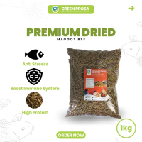 Premium Maggot Kering 1 kg bukan ulat hongkong