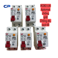 RCBO Aptomat chống giật, chống rò, chống quá tải DZ47LE-63 2P 20A/32A/40A/63A LW