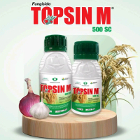 TOPSIN M 500 SC  500ml                                    Bahan Aktif : metil tiofonat 500g/l