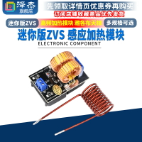 感應加熱 迷你版 ZVS 無抽頭 高頻加熱機 特斯拉模塊 雅各布天梯