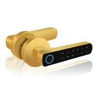 Hot Selling Smart Home Waterproof Smart Electric Rim Lock with Tuya APP Control WIFI Outdoor Door Fingerprint Smart Lock