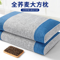公司貨 免運 可開票 蕎麥枕頭枕芯成人失眠專用護頸椎助睡眠艾草決明子硬整頭家用藥枕