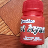mpot ayam Momoidea