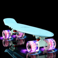 Penny Board Mini Cruiser, Retro Travel Portable Skateboard, Complete Ready to Ride Fish Boards, 22 Inch