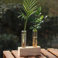 1 Set Transparent Test Tube Vase Creative Hydroponic Plant Vases Durable Wooden Stand Glass Flower Pot