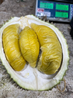 GUA MUSANG RAJA KUNYIT 500g Each Box Durian Singapore - Fresh Musang King Durian D197 Cultivar
