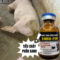 Thuốc trị bệnh tiêu chảy phân xanh, thương hàn trên heo | ENRO FOR 20ML