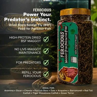 Pakan Pelet Makanan Ikan Predator Ferocious Maggot Kering BSF 1 toples Channa Arapaima Peacock Bass 