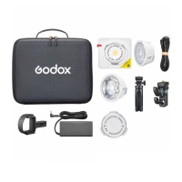 【Godox 神牛】ML100 BI 雙色溫 100W LED燈 K1套組 含行充支架+迷你腳架(公司貨)