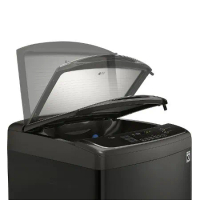 【LG 樂金】17公斤 TurboWash3D™ 直立式直驅變頻洗衣機 (曜石黑) WT-D179BG