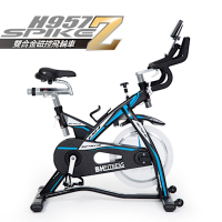 【BH歐洲百年品牌】H957 SPIKE-Z雙合金磁控飛輪車(台灣製造)