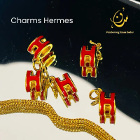 NS Shop | Charms Charms Hermes Design Fashion