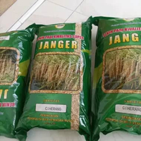 benih padi ciherang janger
