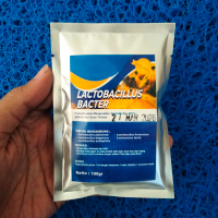 Lactobacillus Probiotik lele nila udang dan BIOFLOK