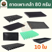 [COD] ถาดเพาะกล้า 10ใบ 32หลุม 50หลุม 72หลุม 105หลุม 128หลุม 200หลุม 80 กรัม ถาดเพาะไฮโดร แบบไม่มีหลุ