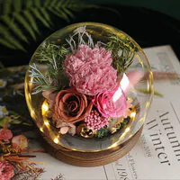 【附贈禮盒、禮袋】康乃馨玫瑰｜水晶球玻璃罩夜燈