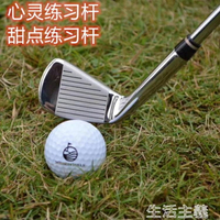 高爾夫球桿 日本原裝 LEEWAY高爾夫練習桿 7號球桿 七號鐵桿 車載防身 鋼桿身 MKS 果果輕時尚 全館免運