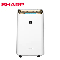 【 SHARP 夏普】12公升 DW-L12FT 空氣清淨除濕機 自動除菌離子