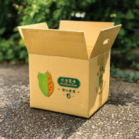 南投埔里紅肉木瓜6公斤x1箱（6-8顆/箱）(有機栽培 產地直送 中果實)