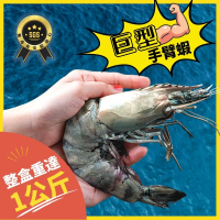 【好嬸水產】晉級巨人手臂蝦1KG/8隻