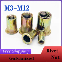 M3 M4 M5 M6 M8 M10 Rivet Gun Zinc Plated Carbon Steel Knurled Nuts Rivnut Flat Head Threaded Rivet Insert Nutsert Cap Rivet Nut