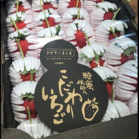 日本頂級黑盒糖蜜草莓 20-24玉