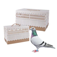 Folding Cage Training 1 Pigeon Homing Pc Flying Competition Release Portable