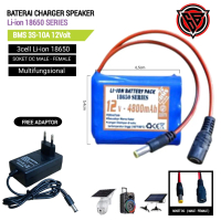 Adaptor Charger + Baterai Speaker Tipe Li-ion 3X 18650 4800mAh 12V SOKET DC MALE / FEMALE