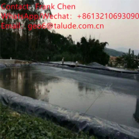0.7mm Fish Pond Geomembrane HDPE Low Price Pond Liner Dam Liner Black Color Geo HDPE Geomembrane Sheet