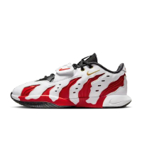 LEBRON 21 PRIME 96