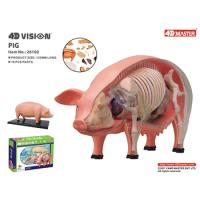 4D Pig Intelligence Assembling Toy Animal Organ Anatomy Model Medical Teaching DIY Popular Science Appliances
