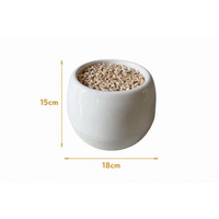 AMD GRASS Pot/Vas Bunga/Daun Bentuk Bulat/Bola/Kones/Gantung Include Busa Dan Batu Pot Bulat Besar