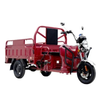 China Manufacture Three Wheel Mobility Trikes 3 Wheeler With Eec Certificate