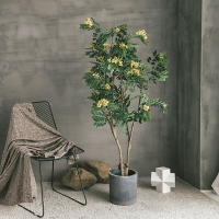 仿真植物裝飾黃槐花樹綠植大型假樹客廳辦公室軟裝落地北歐盆栽