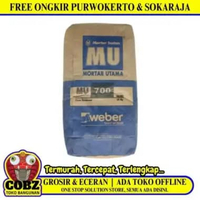 25 KG / MU 700 Semen Instant Acian Lantai Sak