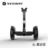 SEGWAY 賽格威 電動平衡車Mini-Pro 2