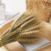 50/100 Pcs Real Natural Dried Wheat Ear Bunny Tail Grass Flowers Decor Boho Fall Dried Flowers Home DIY Craft Bouquet Decoration