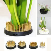 Cao su Kenzan Sự sắp xếp hoa Cây kim Chèn chốt cơ sở Ếch hoa Công cụ cố định nghệ thuật Ikebana Hold