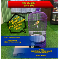ALAS SANGKAR KANDANG BURUNG LOVE BIRD ( PERBOX )