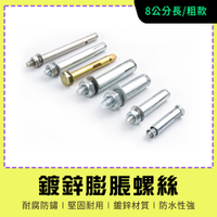 膨脹螺絲 8公分膨脹管 螺絲 壁虎螺絲 白鐵螺絲 凸牙壁虎 外牙膨脹螺絲 交通器材安裝 MIT-SUSS8T