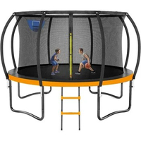 Trampoline 12FT Outdoor Trampolines for Kids and Adults, Recreational Trampoline with Enclosure Net &amp; Ladder, Round Trampoline