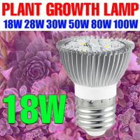 220V LED Phyto Lamp E27 LED Grow Light Hydroponics Growing Ssystem Bulb 18W 28W 30W 50W 80W 100W Plant Seedling Flower Lighting